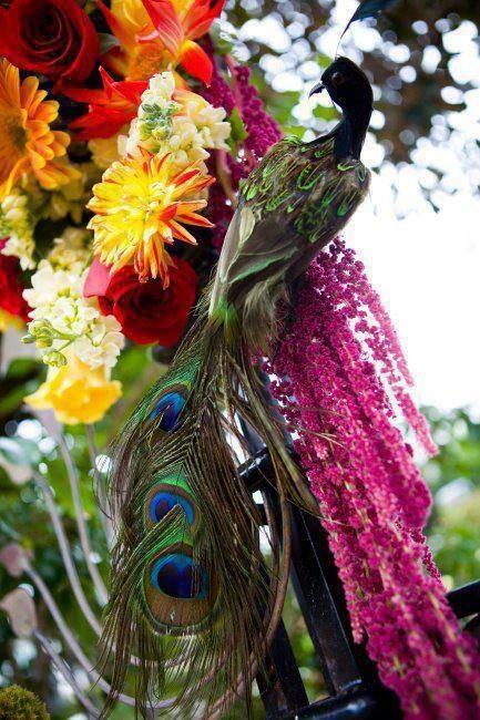من #أروع_الصور : صورة قمة الروعة لطائر الطاووس ..!
⭐️سبحان الله الخالق⭐️

#غرد_بصورة 

🎨