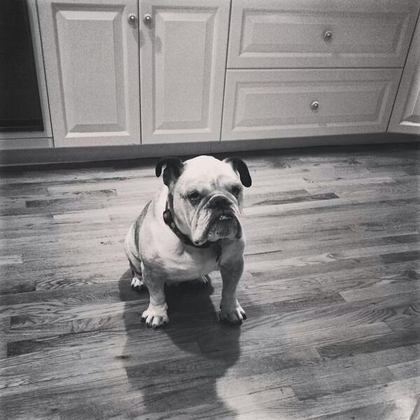 KristenFinneran's tweet photo. @amyfreeze7 http://t.co/idskphcOpd