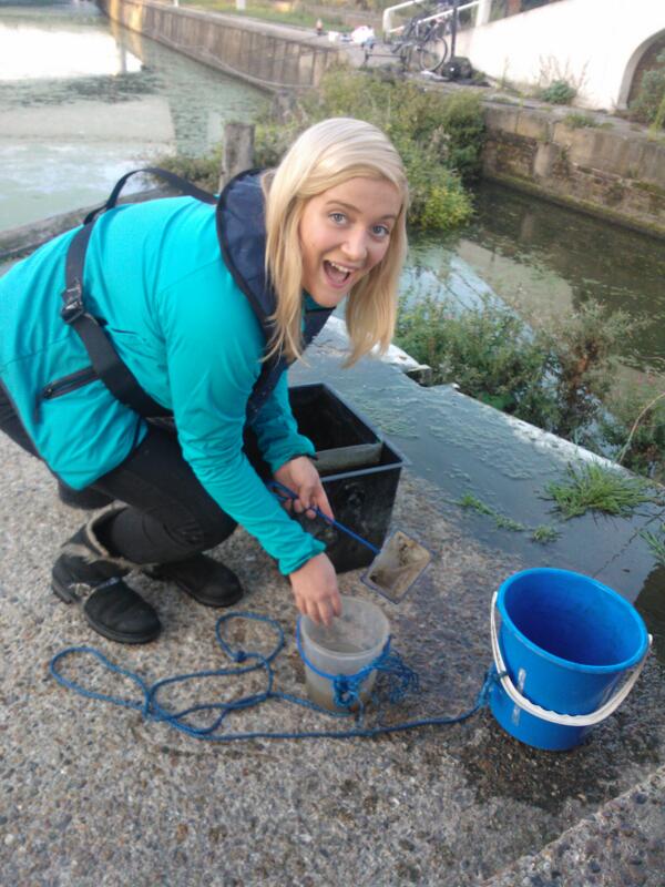 elisebabb's tweet image. 6 #eels recorded and counted on Friday with @MaaikeMilligan @ZSLMarine @Thames21 #Bowlocks biggest over 120mm :D