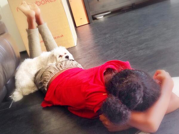 PuppyMaltese's tweet image. This homework thing is tiring stuff.. #IHateHomework