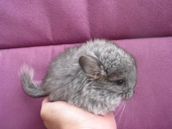 Phoenixbackfrom's tweet image. “Some say we can't choose who we fall in love with"