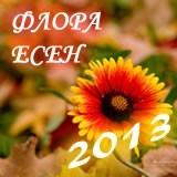 flowersnet2006's tweet photo. http://t.co/s49qF4UUpT http://t.co/64BnFEwIL6