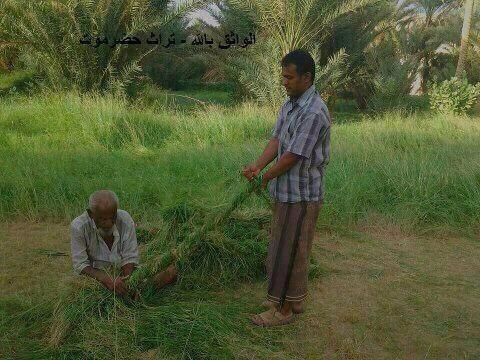 TQ_hadramout's tweet photo. @hashtakah اه تسمونه هوذا عندنا نقول حبل وبعد فيه نوع مثله يسون حبل واذا يبس يسون مع الطين للمحض ويسمى ذياد http://t.co/V2gZDLyZCC