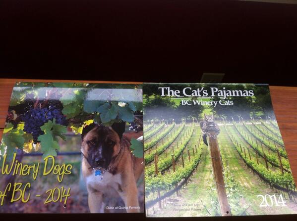 Are you #BCWine cat or dog lover? Discover the stories behind the #Okanagan cats &amp; dogs: