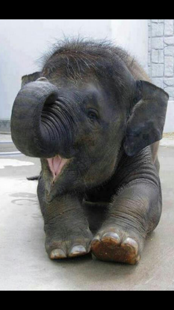 mojsking's tweet image. 오늘도 웃는하루