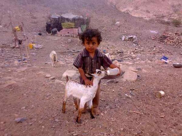 zoozo856's tweet photo. @t_66553 @w_276655 محماس عين امه ' م احلل http://t.co/IFKm97xGBA