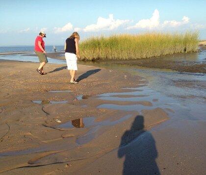 pidginizing's tweet image. RT @alex_ion: Beachcombing: A Sense of Community splicetoday.com/pop-culture/be… by @marymac @SpliceToday @MUGGER1955