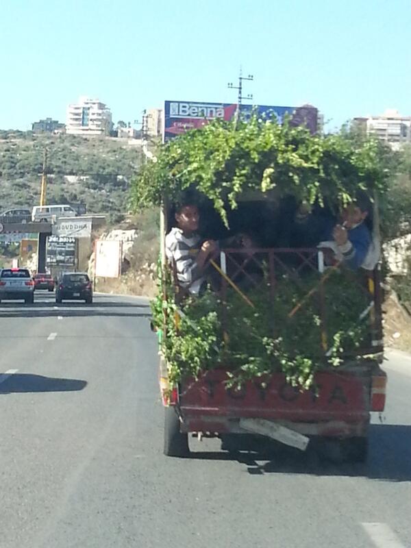 cheyef7alak's tweet photo. RT @BassamAbouZeid: مخيمين الشباب http://t.co/F9lsfWUe9v