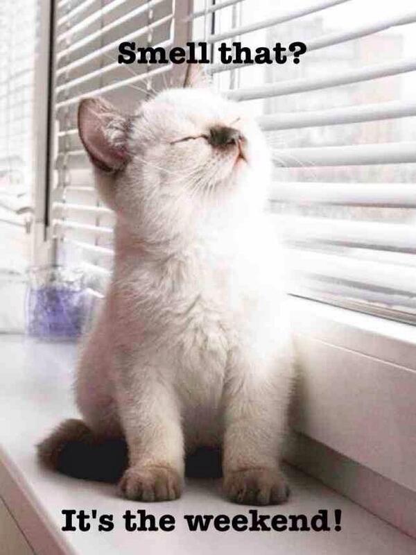 Cellulos's tweet image. Cute! Enjoy your weekend!