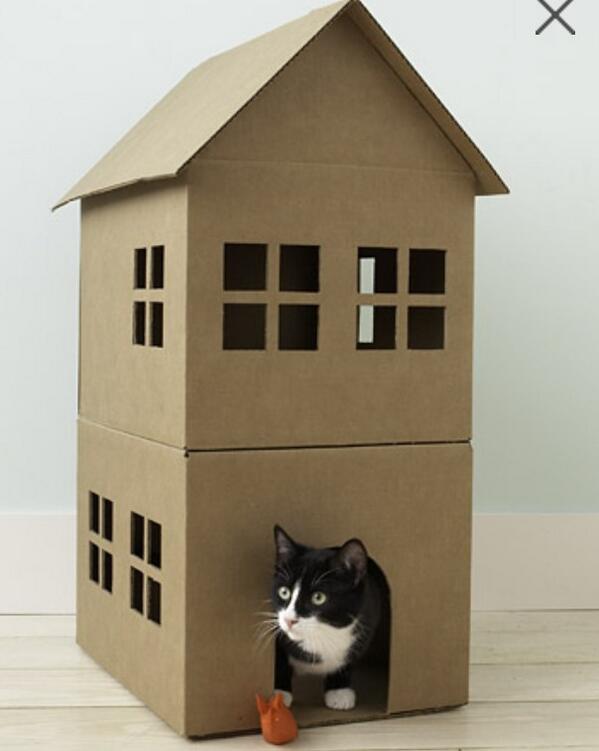 BowtoSplash's tweet image. @HongmiaoShi what do you think of this? #catchitecture #bemorecat