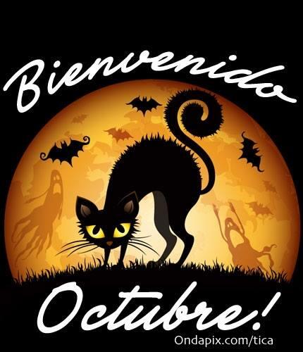 LalyCalder's tweet image. 