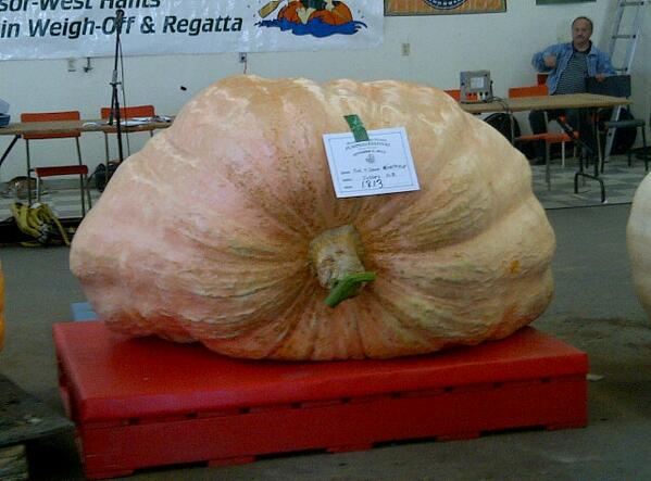 Winning pumpkin at GPC weigh-off in Windsor - 1813 pounds - grown by Bill and Dawn Northrup of Sussex, NB
