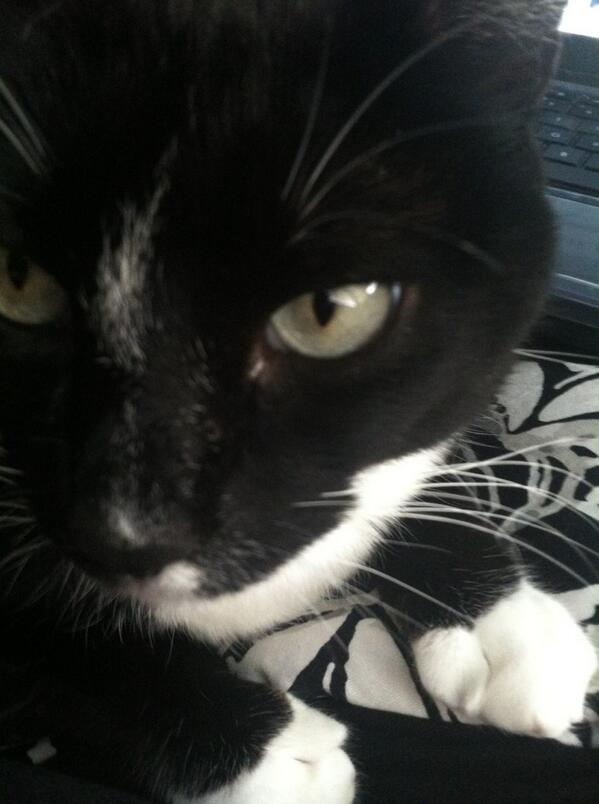 Gabbizzle22's tweet image. @AliBlacksmith #donewithurshit