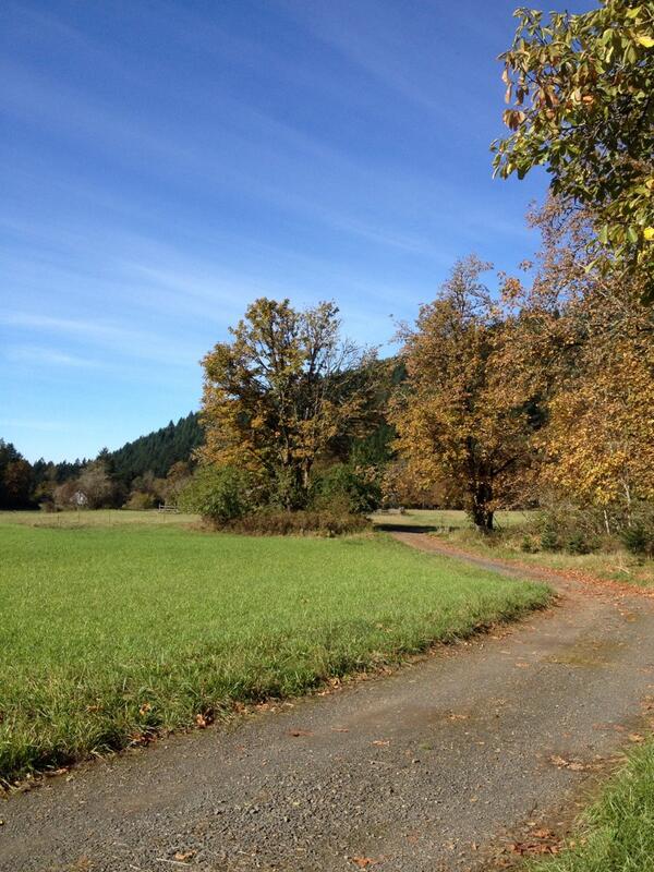 PomeroyFarm's tweet photo. http://t.co/Tab37MBiCe