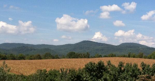 _ajpacker's tweet photo. Pickin' Apples @ Grandad's Farm#hendersonville#fall http://t.co/XquvQQPWUY