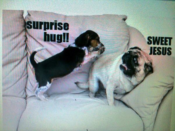 FatiLovee19's tweet photo. Jajaja mira amiga, no soy la única @rossyrc http://t.co/YjjLabTSyj