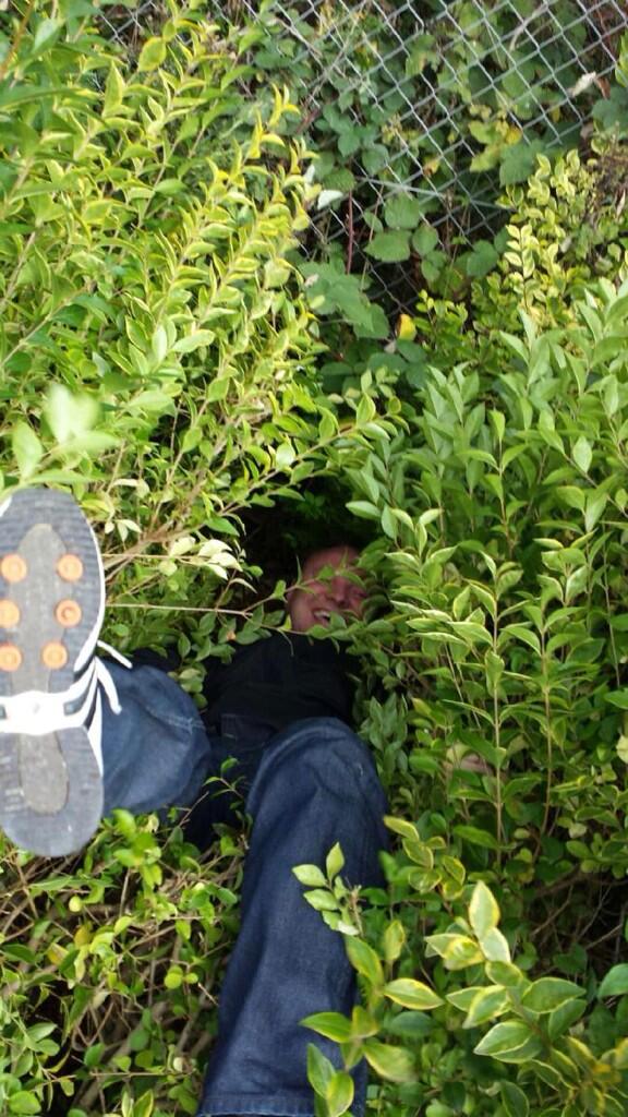 LeedsOnTour's tweet image. #BushPush highlight of the day!