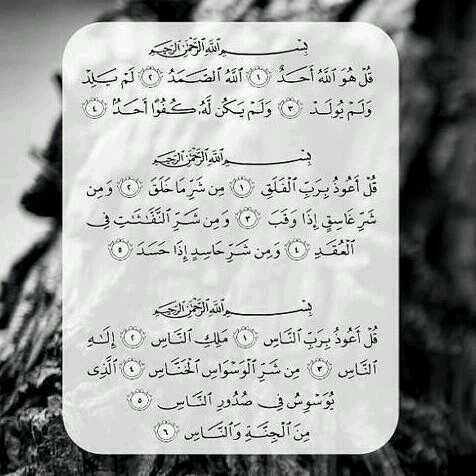 Ali116C tweet picture