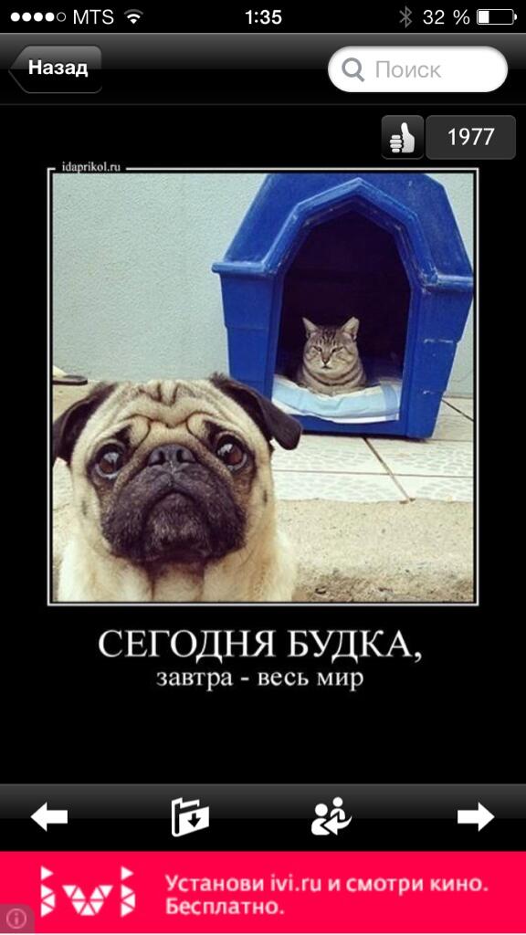 На ночь глядя...