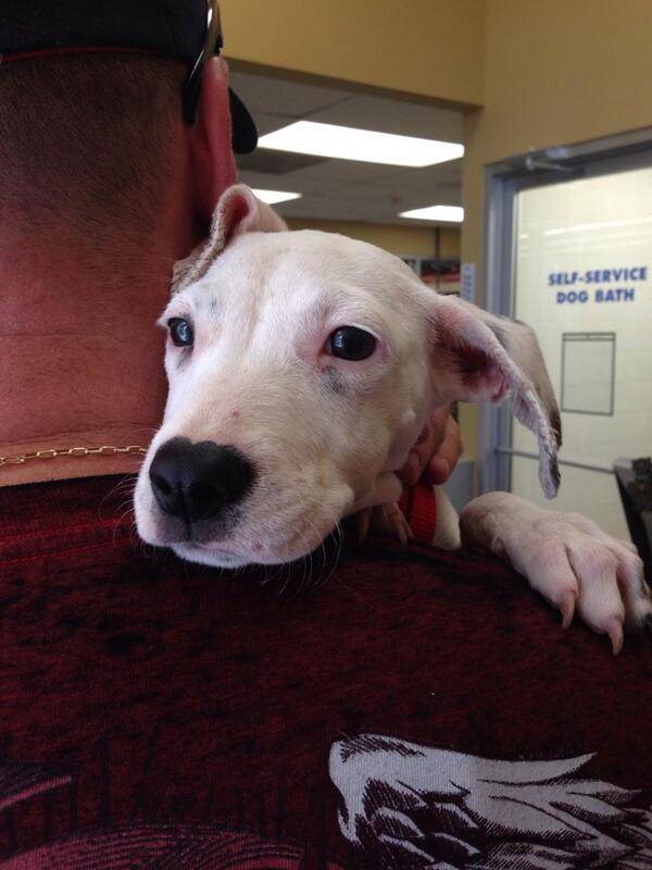 Parker0211's tweet photo. Athena has landed with  @canolies #attempt2 http://t.co/xQwg7XM828