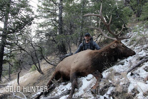 Muzzybroadhead's tweet photo. Congrats to Tim of Solo Hunter Tv with this Idaho bull that he took with his #Muzzy Trocar Broadhead!  Congrats Tim http://t.co/t0CoHZ0kNu