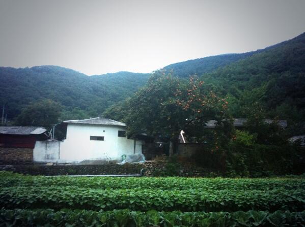 원전 밀집도는 우리나라가 세계 1위입니다. 할매 할배들의 눈물을 타고 흐르는 전기를 쓰고 싶진 않습니다. 전기보다 소중한 일조량이 많아 빽빽한 볕, 밀양이라 불리는 이 곳을 이대로 놔 두세요 #밀양