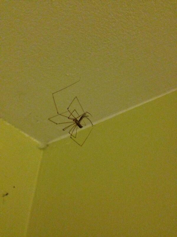 heathesauruss's tweet image. #circleoflife #byebyefly