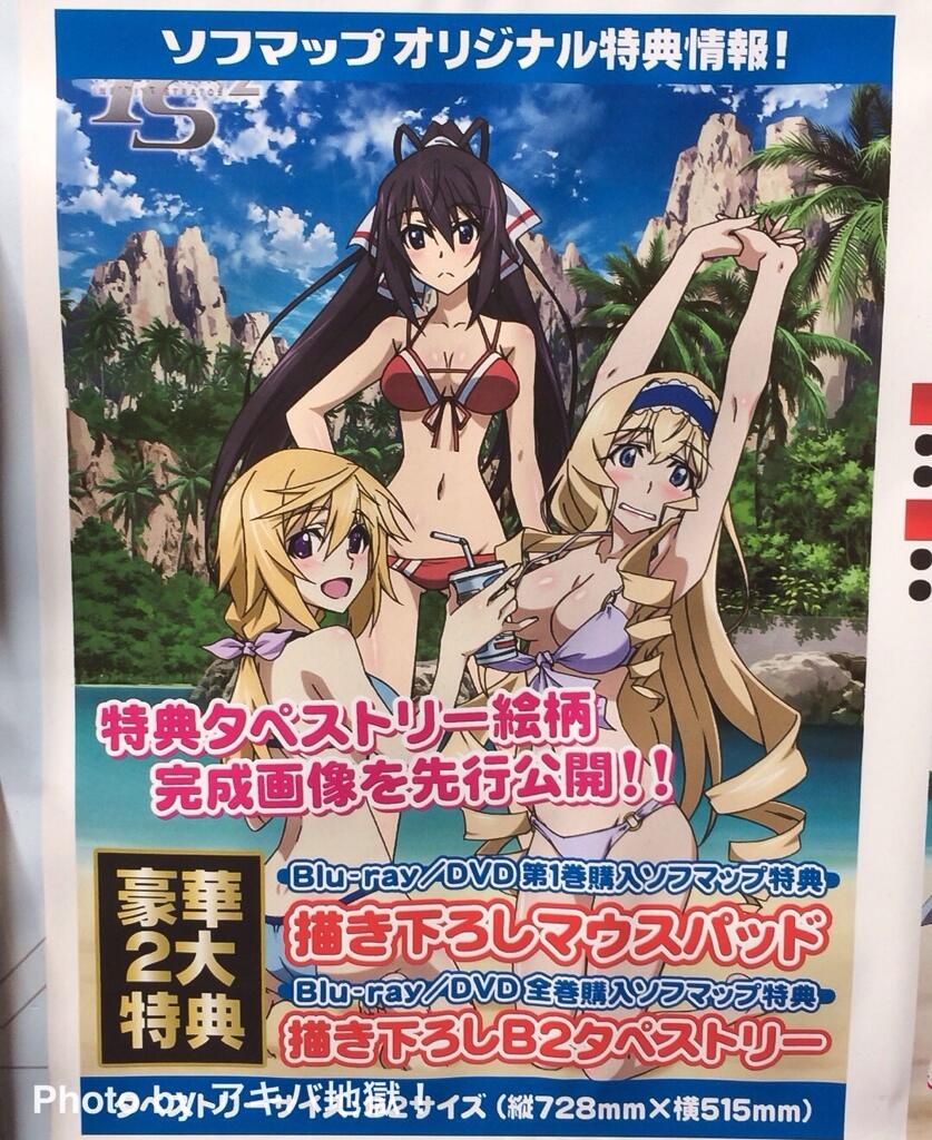 シャルロット・デュノア 執念深く B2タペストリー Blu-ray/DVD