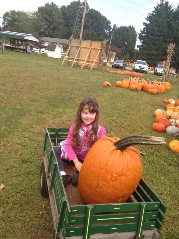kayleighs_mom08's tweet image. So happy &amp;amp; excited about her pumpkin!🎃She had a blast at the pumpkin patch! #PumpkinPatchFun #Family #Fall2013  🎃🍃🍁👻
