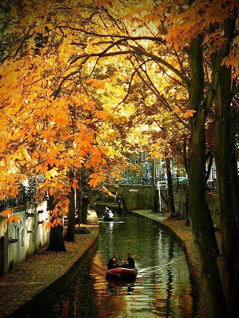 Paisajes Increíbles tweet media