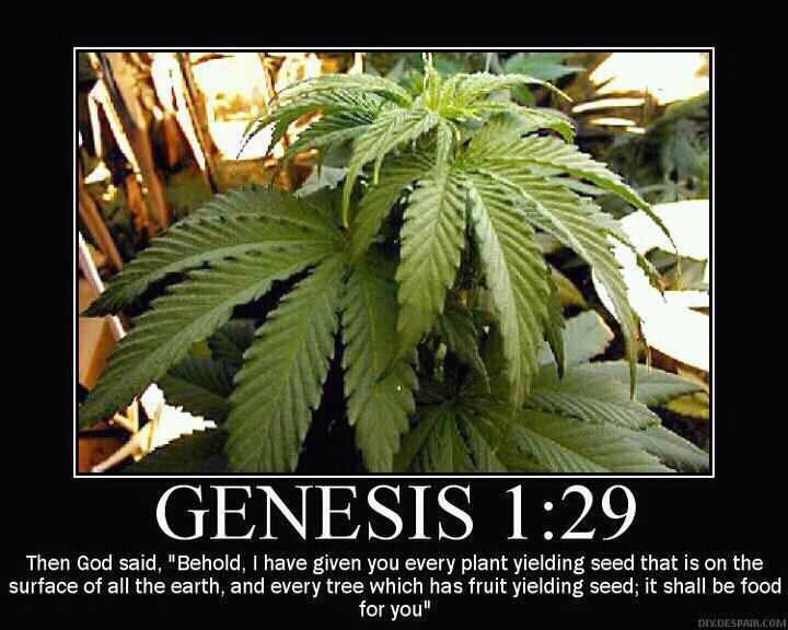 Weed Bible Quotes