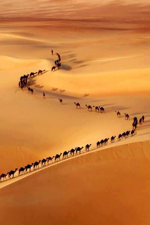 2005Zis's tweet photo. سفينه اسحراء http://t.co/Ue96L1RX0t