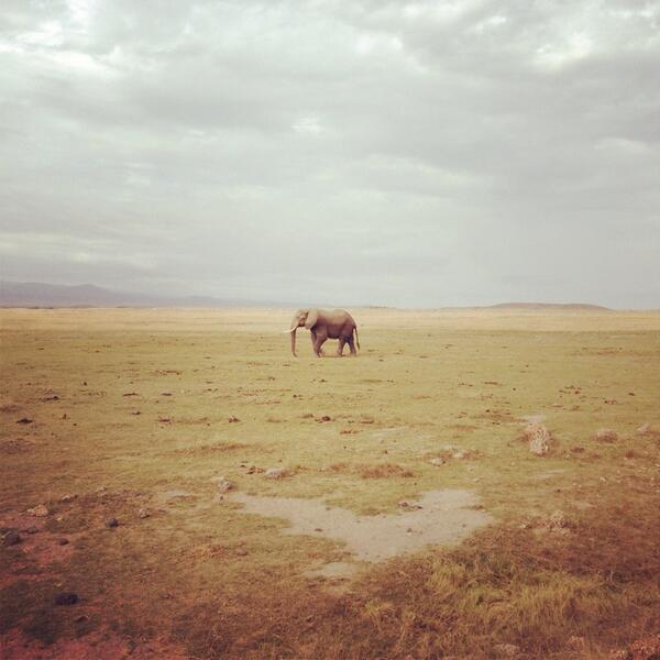 Africa
