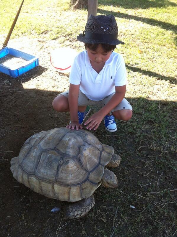 anurahda's tweet photo. MAX飼いたい http://t.co/yoNIy2ln33