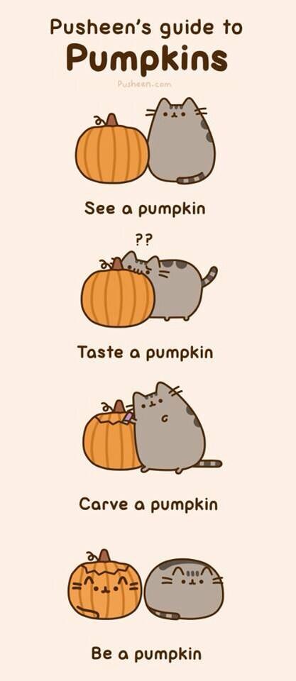 人気ついーと和訳 tweet media