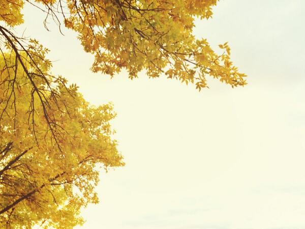 thebestofcache's tweet image. Loving this fall weather! #bestofcache