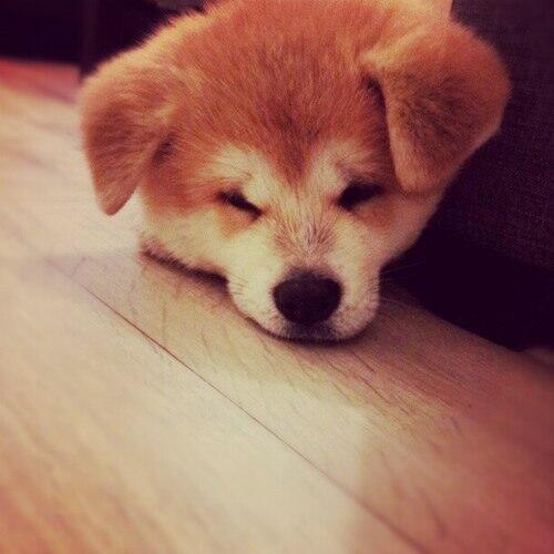 Firebeba's tweet image. Fuuuck)!! Блин мне почему то все хуже и хуже.