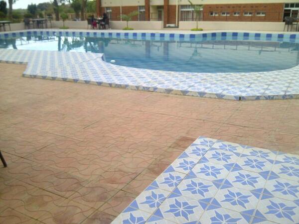 Mambo Mutale tweet media