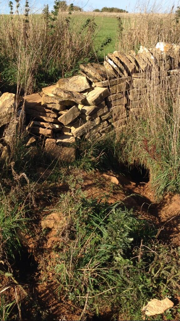 JeremyClarkson's tweet photo. Dear Brian May out of Queen. Look what some bastard badgers have done to my wall. http://t.co/BHUkpwoceM