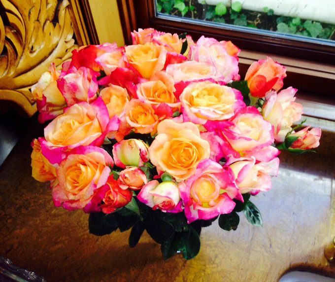 Grateful for my Sunday morning farmers market bouquet  #roses http://t.co/khV0nYVUxe<a href="/tag/roses"class="tags"><span>#roses</span></a>