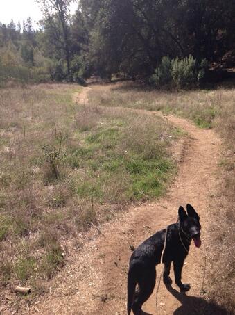 My baby's second time out hiking today, can you tell she's loving it? :) http://t.co/PccCptTGRr<a href="/tag/mvsales"class="tags"><span>#mvsales</span></a>