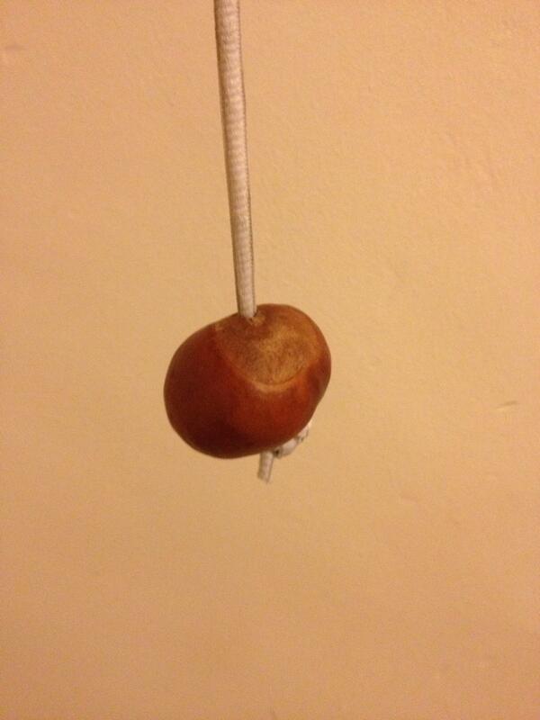 RobHawkins02's tweet photo. Here she is all prepped and ready for the big showdown with @BeardedParling tomorrow #conkers #vinegar http://t.co/bK3CyUWslB
