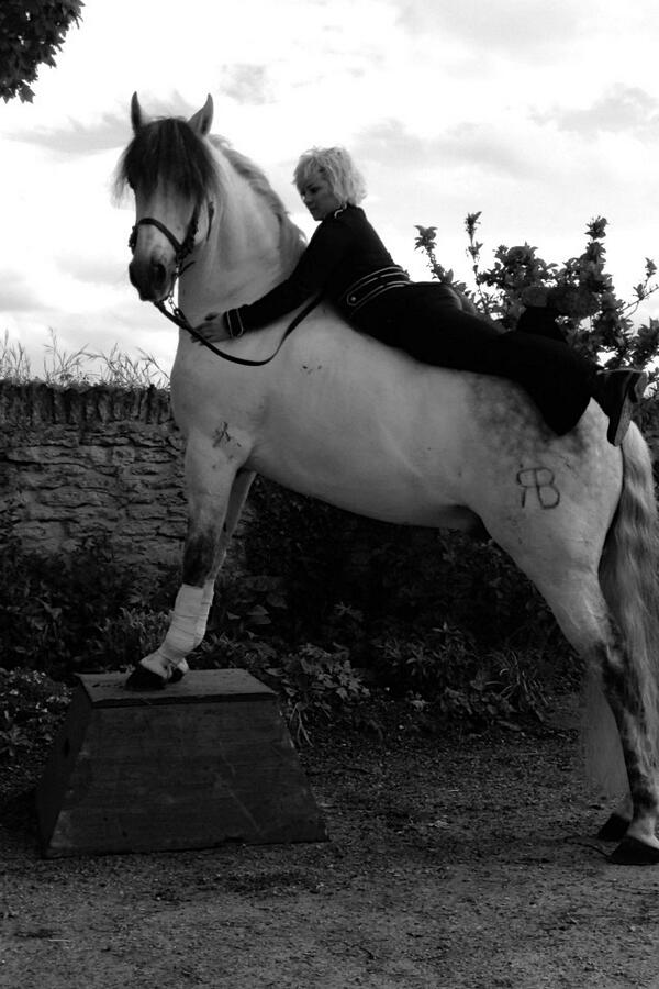 Tigerrudge's tweet photo. working with horses, I feel truly blessed. This is my favourite gelding, we've grown together, live long forever :) http://t.co/A7BEO2q5Ef