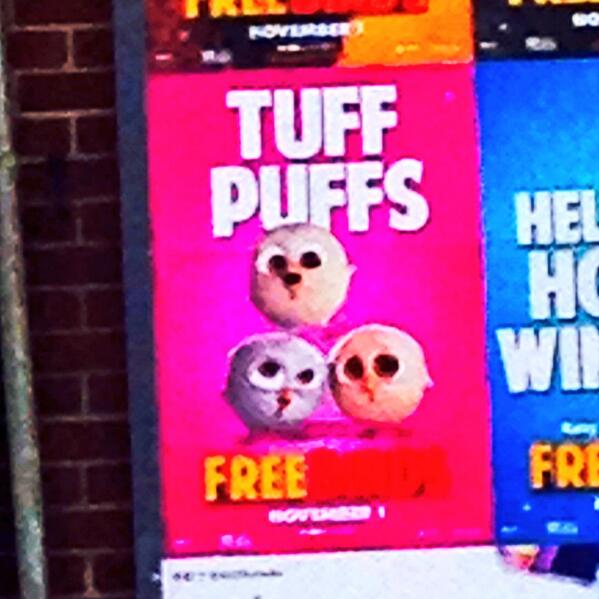 HappyMasterson's tweet photo. Tuffcurls?!? Birds?!?! Bluebird?!?! --- TUFF BIRDS!!!!!!! HOORAY BLOOMINGTON!🇺🇸🇺🇸🇺🇸 http://t.co/BhG0TknwXm