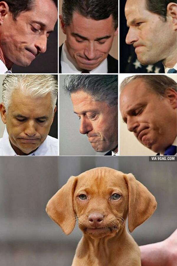 KatriaMadera's tweet photo. Literalmente made my day. "How to tell if your dog is involved in a sex scandal." (Via the big nine) http://t.co/6U40hoO05e