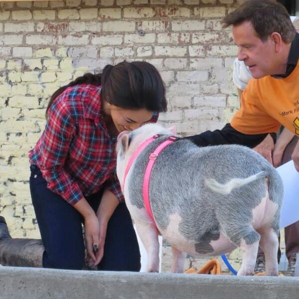 KacieMcDonnell's tweet photo. Workplace bullying is real. @FOX29philly http://t.co/xEMSO5PJPD