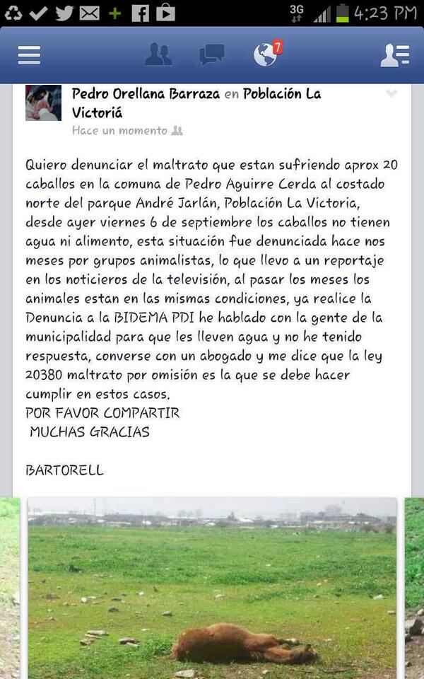 #SoyBartorell tweet media