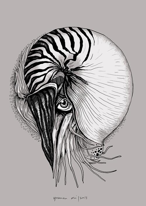 hovacID's tweet photo. seeing eye | digital drawing  | yusman ali * @iyusmn | 2013 http://t.co/TXU083ZbwP