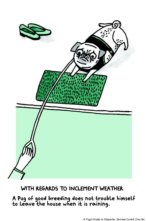 a pug's guide to etiquette