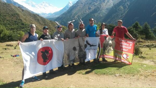 StopRhinoPoach's tweet photo. World Rhino Day for us in Nepal symbolically coincided with our first view of Mt Everest @RhinoClimb @slimnaylor http://t.co/lLagOSUtxE